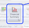 Financial Summary Selection